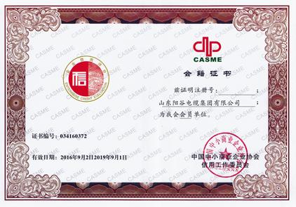 日輝電纜榮譽(yù)證書(shū)