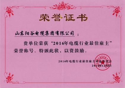 日輝電纜榮譽(yù)證書(shū)